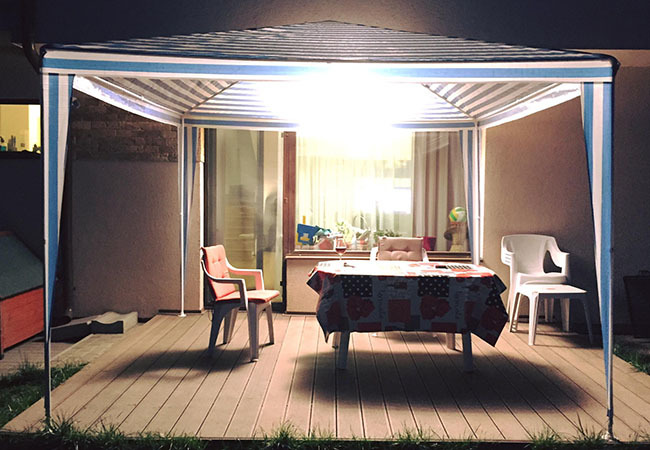 Aşa arăta curtea casei Gabrielei Cristea înainte să facă ravagii câinele.