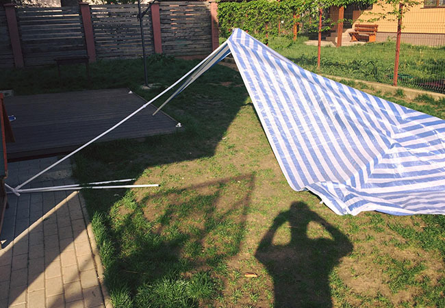 Aşa arăta curtea casei Gabrielei Cristea după ce câinele a făcut ravagii.