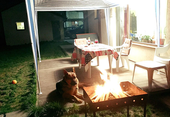 Aşa arăta curtea casei Gabrielei Cristea înainte să facă ravagii câinele.