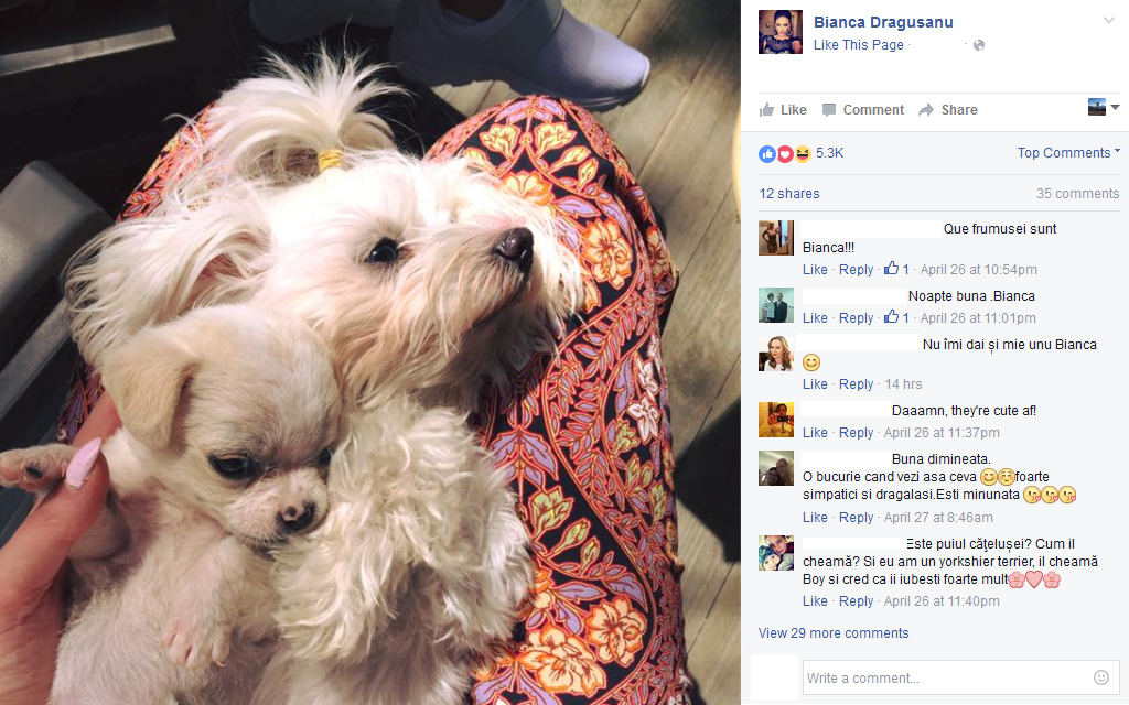 Căţeluşa Biancăi Drăguşanu a devenit mămică!