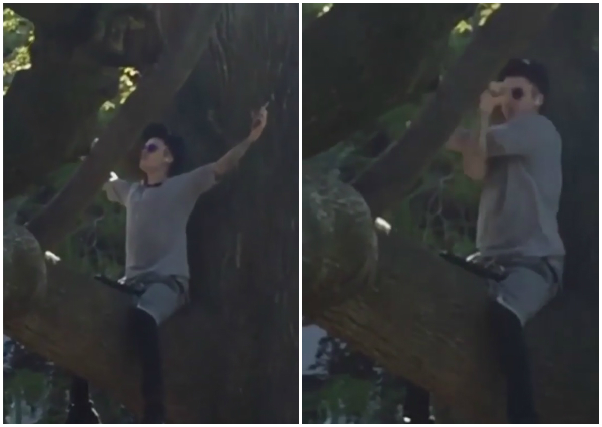 Justin Bieber a stat o zi întreagă într-un copac dintr-un parc american 