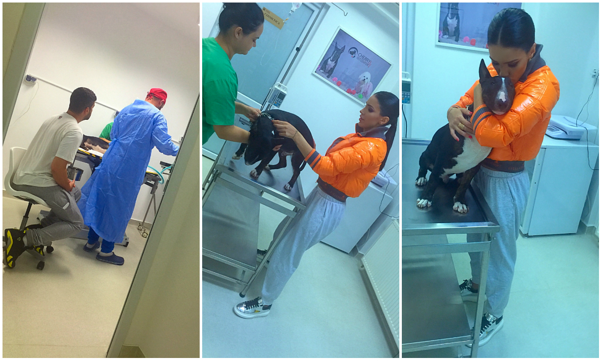 Speak şi Adelina Pestriţu au ajuns de urgenţă la spital cu unul dintre cei doi câini pe care îi deţin