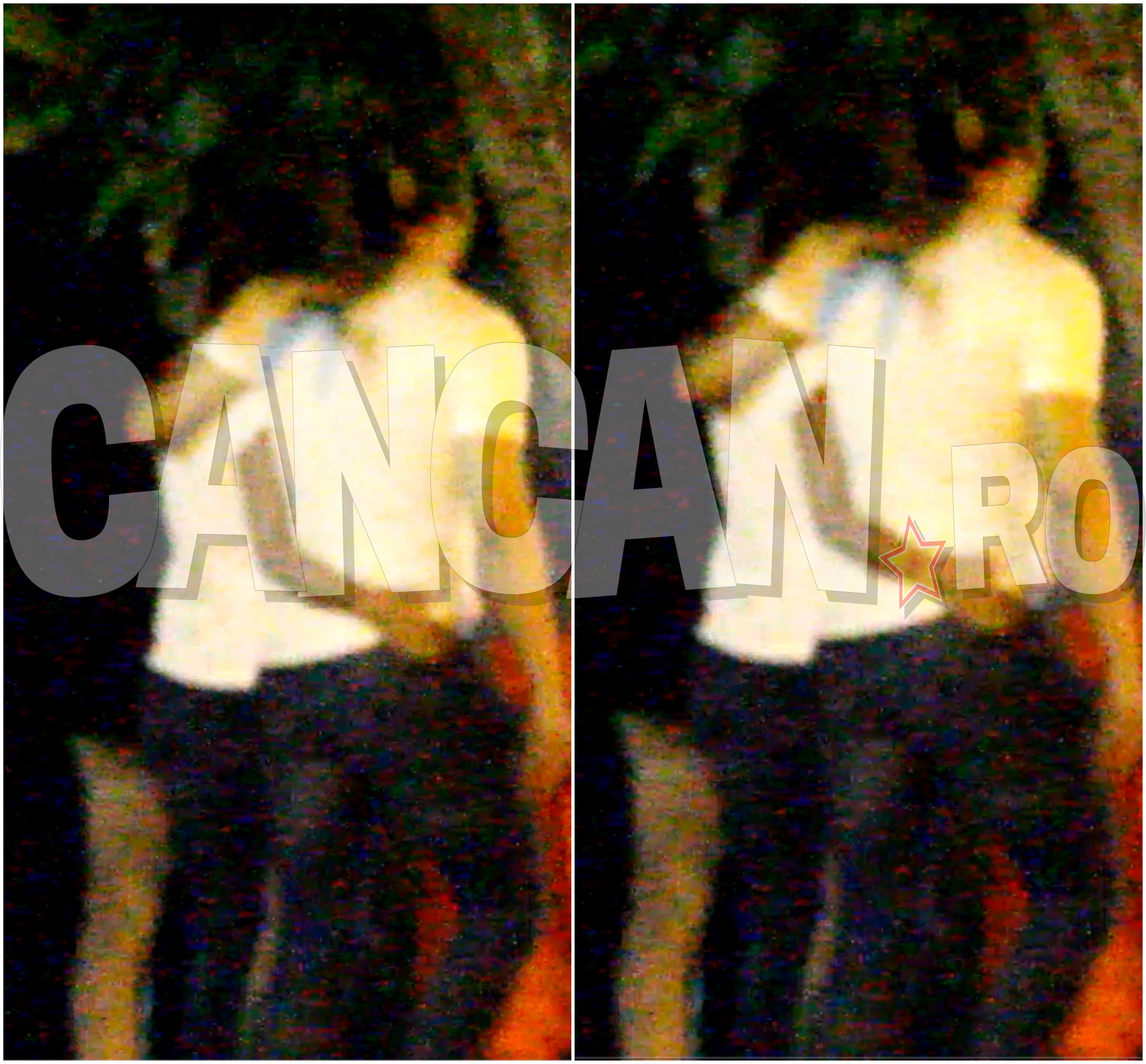 Cântăreţul părea să fie foarte afectuos cu însoţitoarea sa.