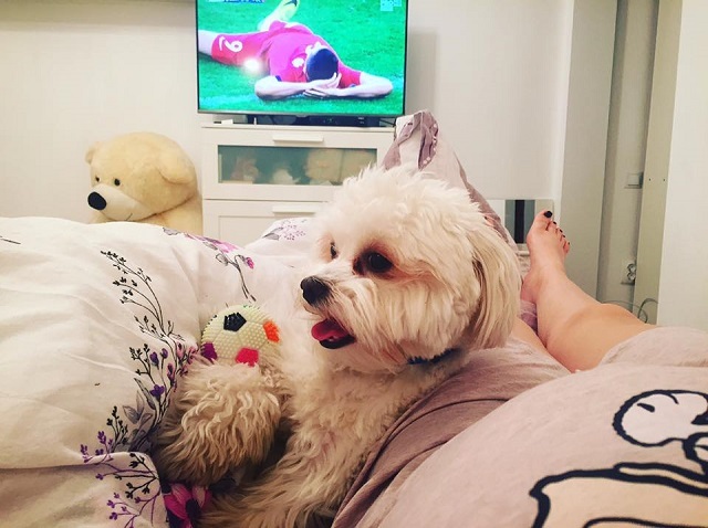 Adda s-a dat de gol în ceea ce priveşte sexul copilului ei.