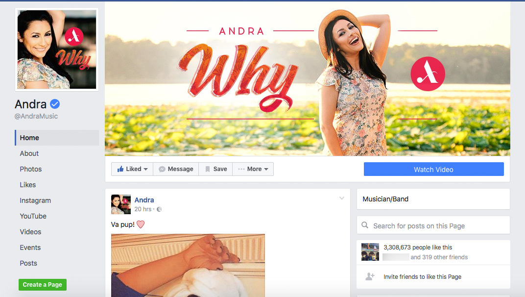 Asa arata pagina Andrei: are săgeata albă în cercul albastru în dreapta numelui!