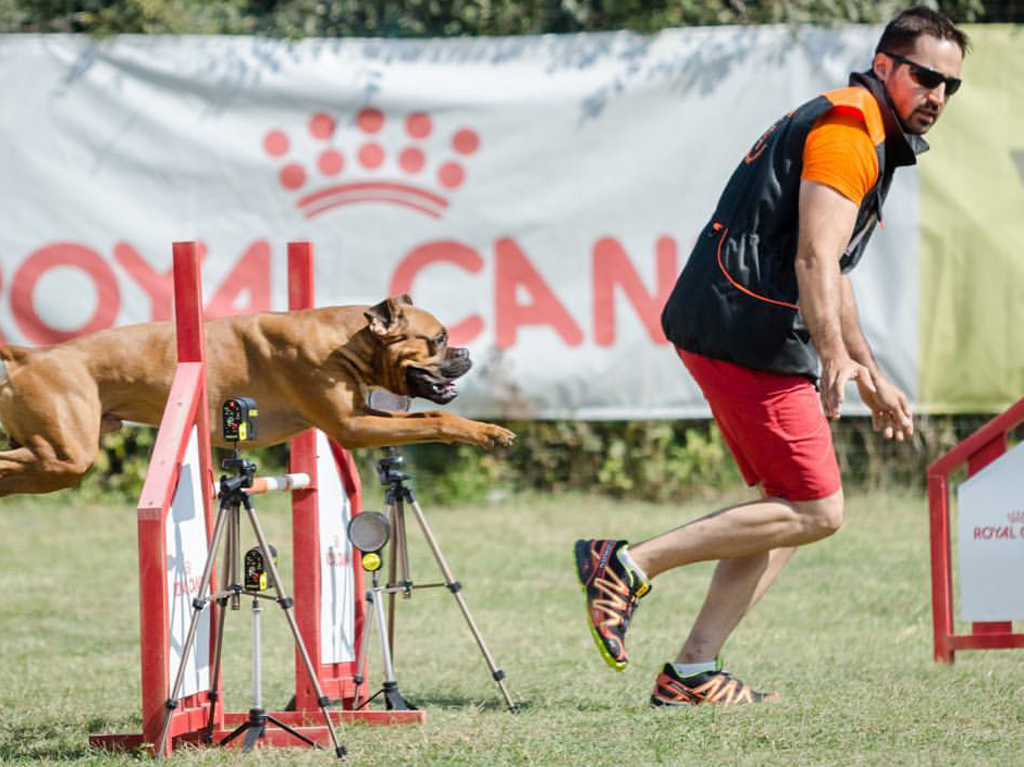 Tudor Ionescu este un mare iubitor de animale