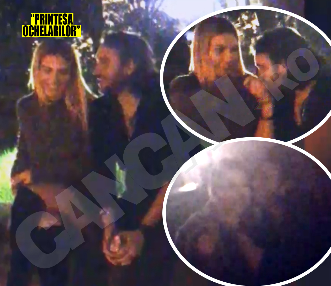 Domnul „Bune maniere“ i-a sărutat pasional mâna Monicăi Cristescu