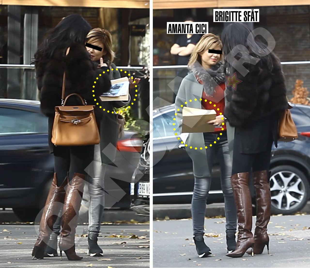 Brigitte încearcă să afle adevărul din gura amantei soţului ei