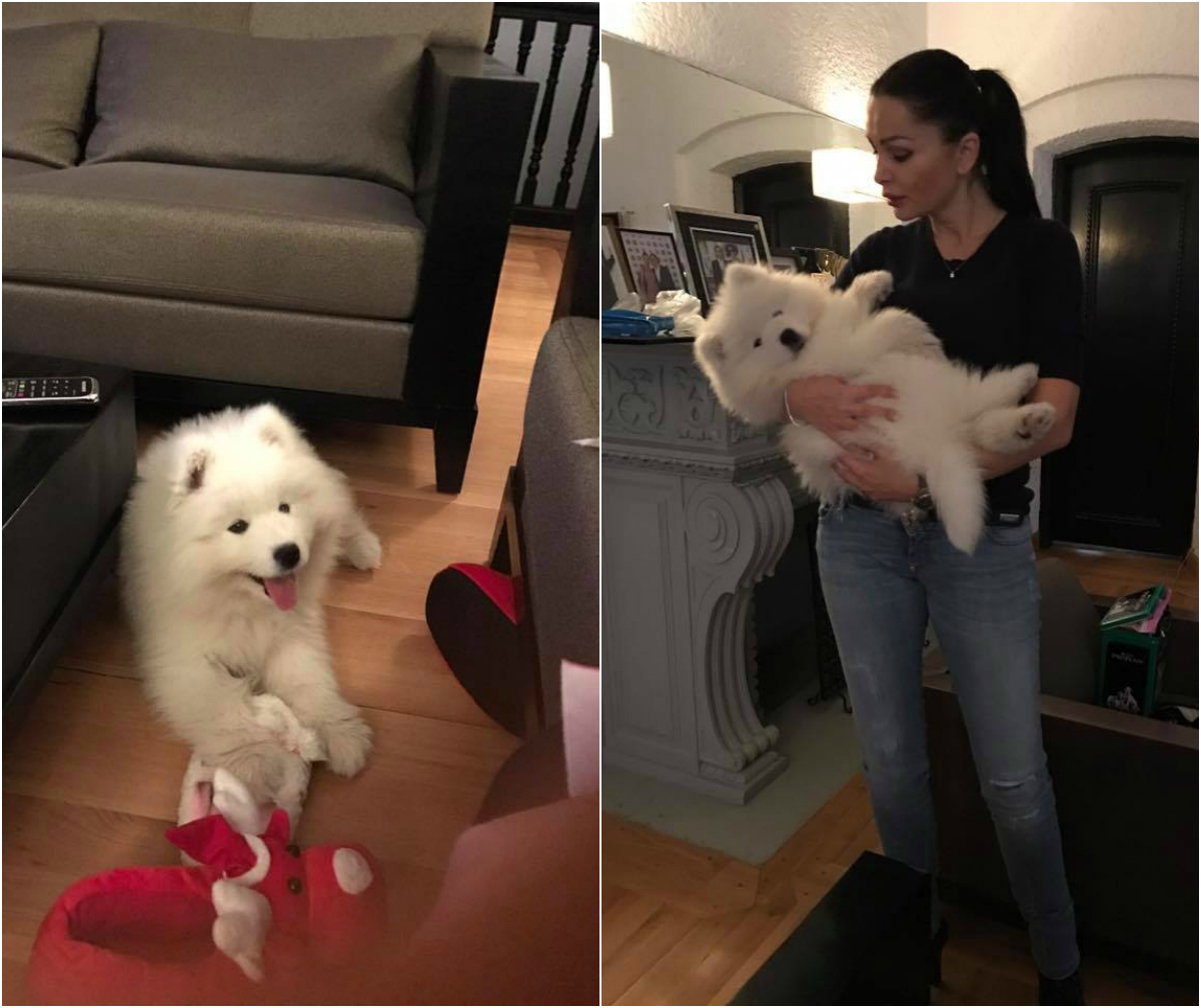 Brigitte le-a arătat tuturor cum a întâmpinat-o Ilie Năstase când s-a întors acasă din Turcia