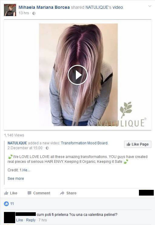 Prietenii virtuali ai ex-doamnei Borcea nu au fost prea fericiţi atunci când au aflat că se va ocupa de afacerile fostului soţ cu Valentina Pelinel