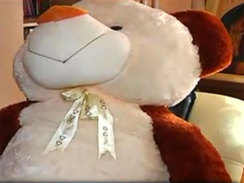 Ursuletul Mirabelei Dauer