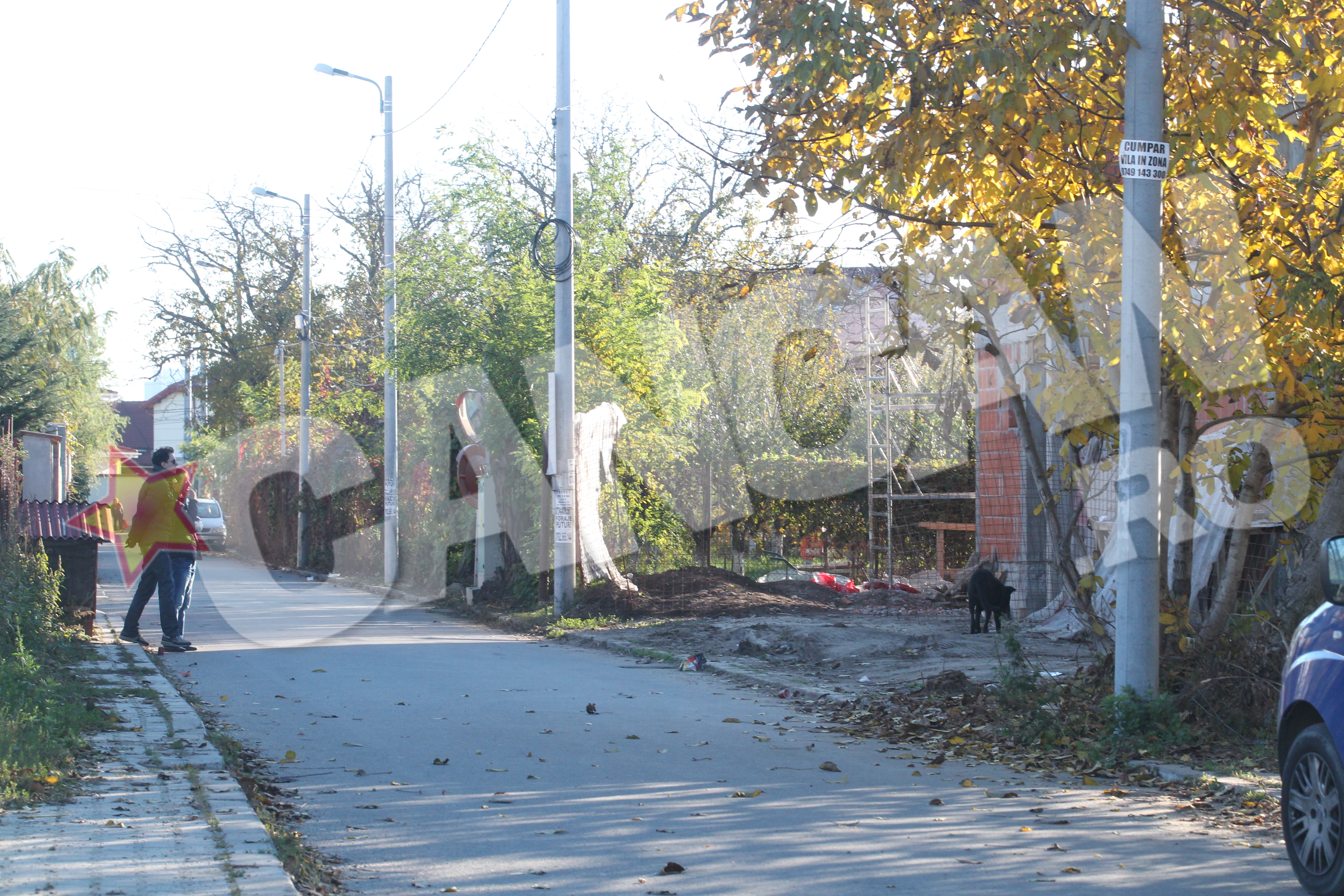 Artistul da indicatii constructorului