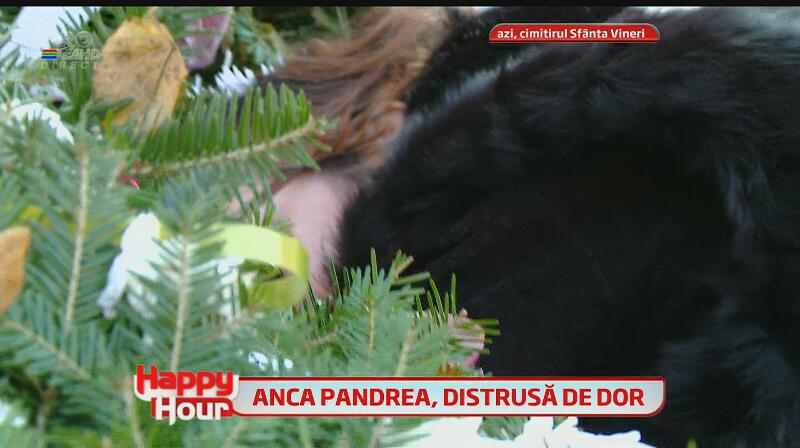 Anca Pandrea la mormantul Iurie Darie