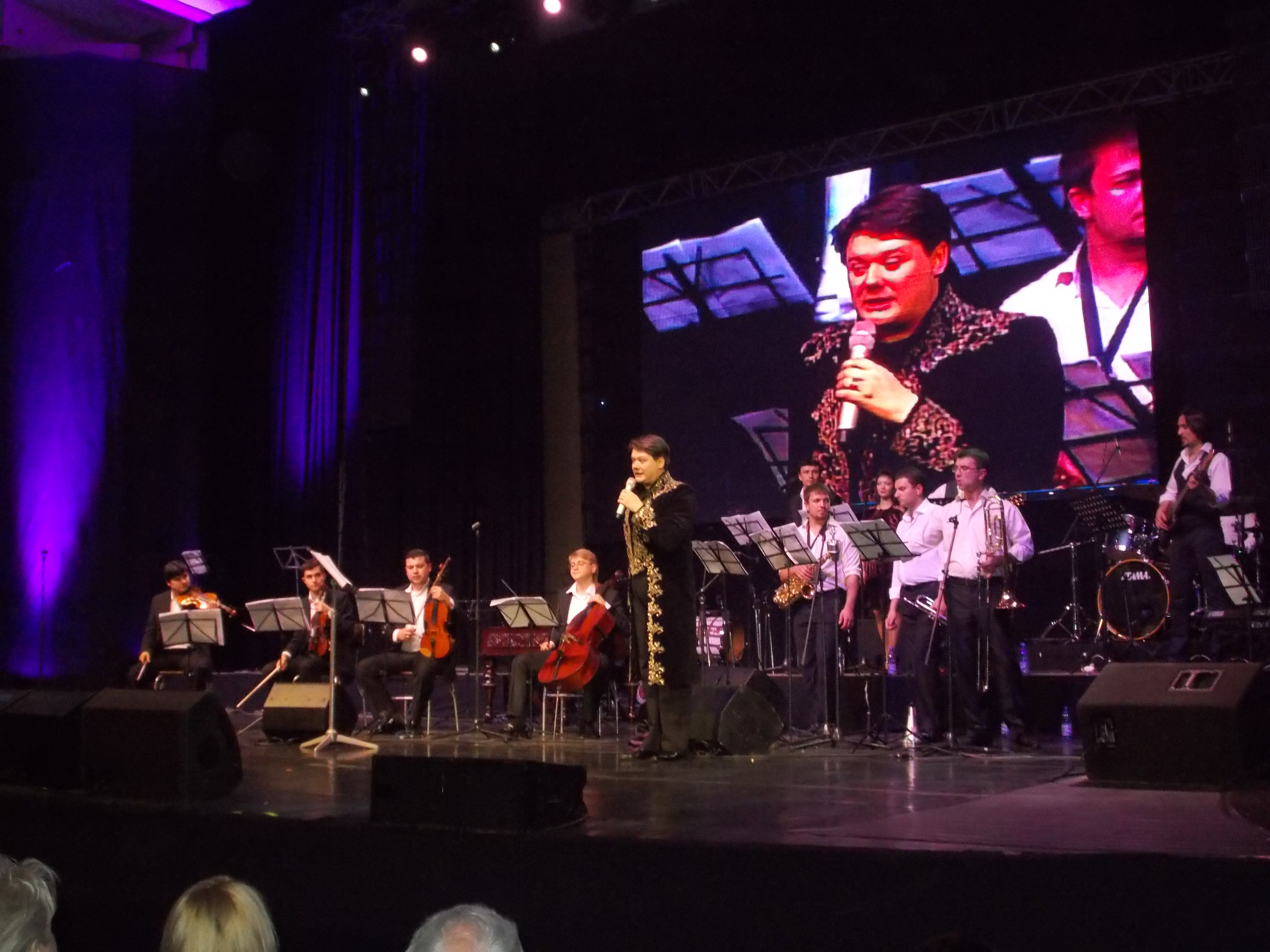 Tinutele artistului respecta trendul 