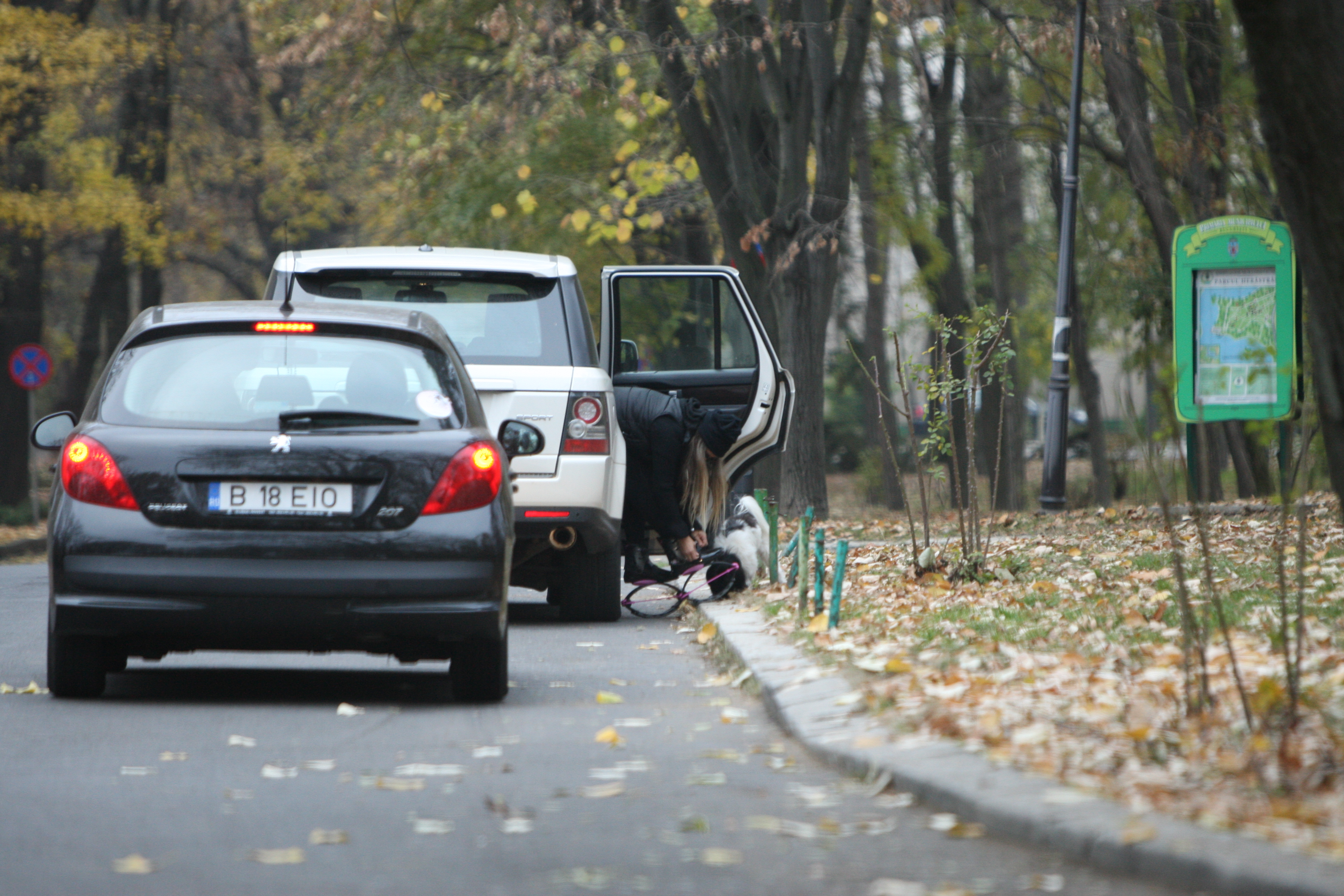 Tania si-a parcat masina in Herastrau, dupa care s-a incaltat cu ghetele de kangoo-jumps