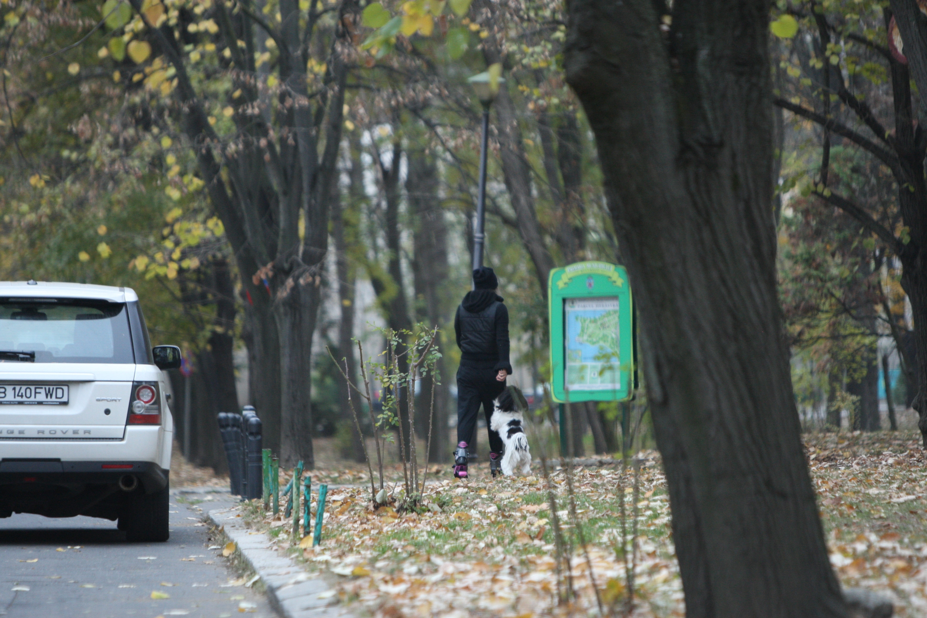 Tania Budi a luat-o pe jos pe aleile din parc, impreuna cu catelusul ei, care avea chef de joaca