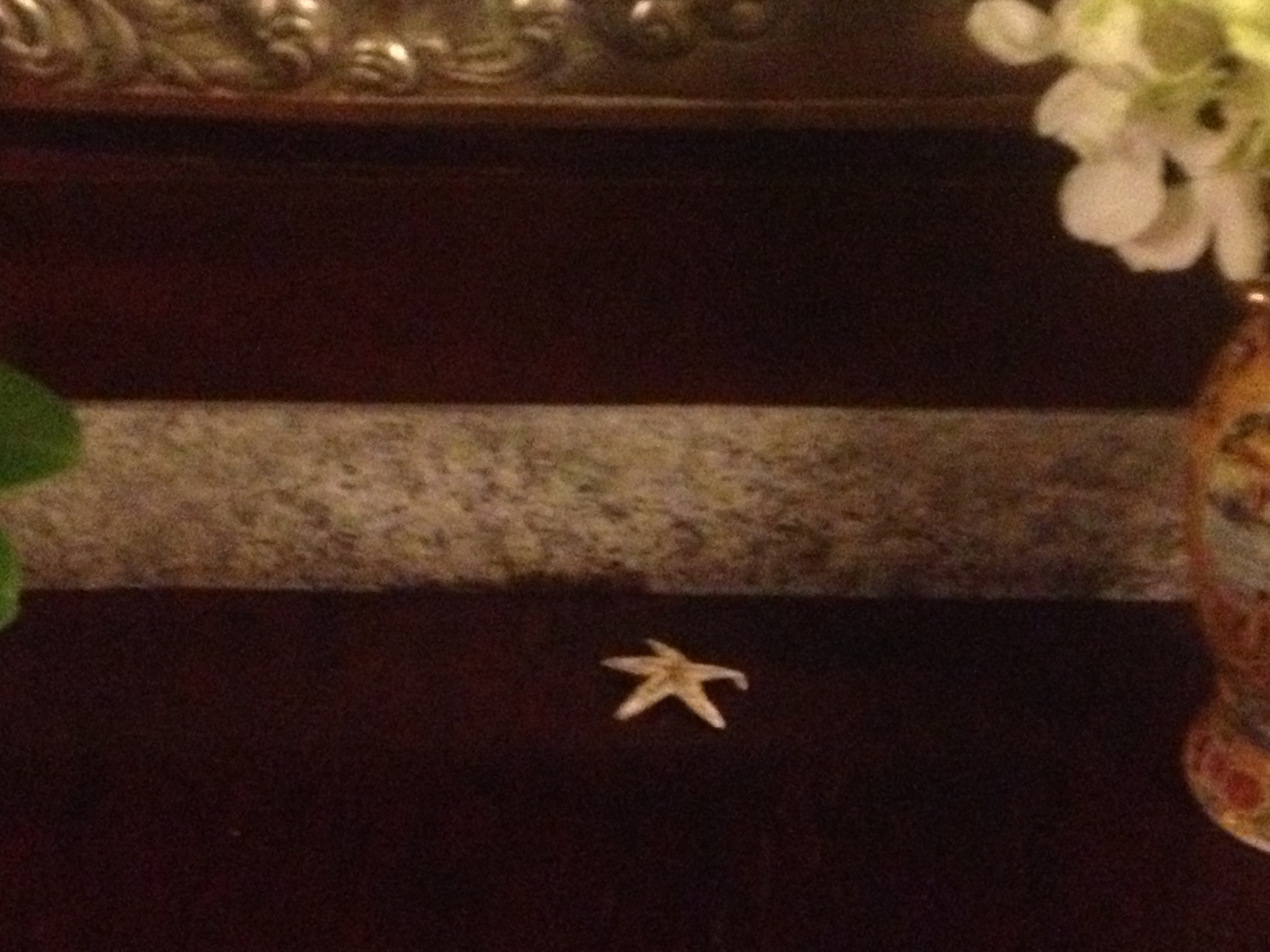 Unul dintre obiectele gasite ascunse in cosciug avea forma unei stele de mare legata cu o ata