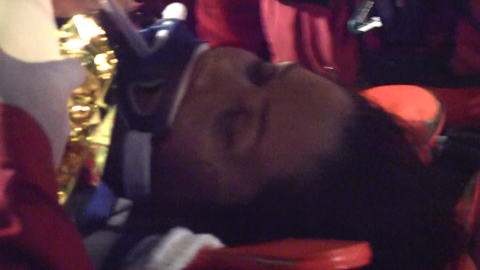 Oana a ajuns la spital inconstienta si intubata