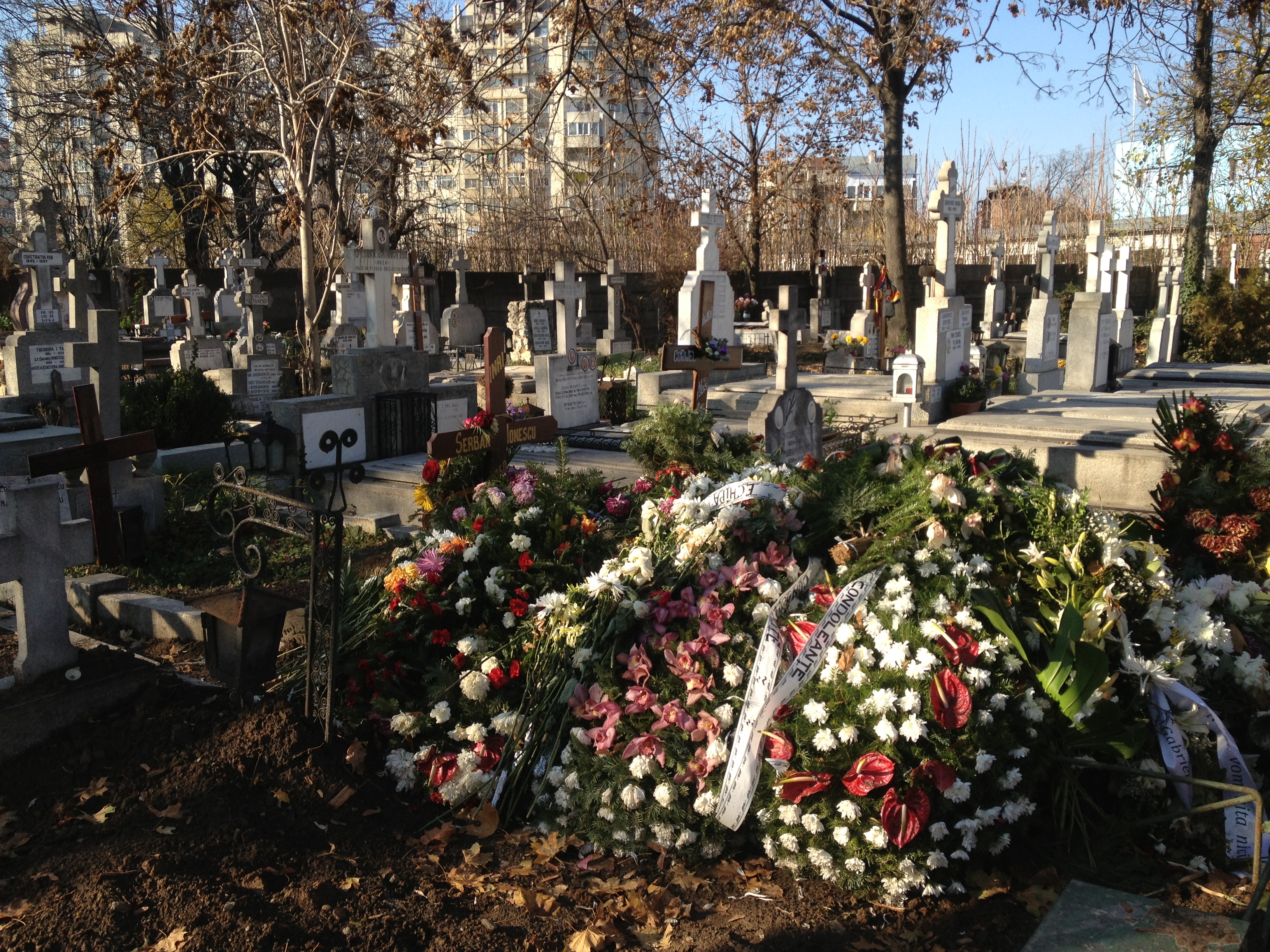 Serban Ionescu a decedat pe data de 21 noiembrie, in urma unei boli care i-a macinat organismul