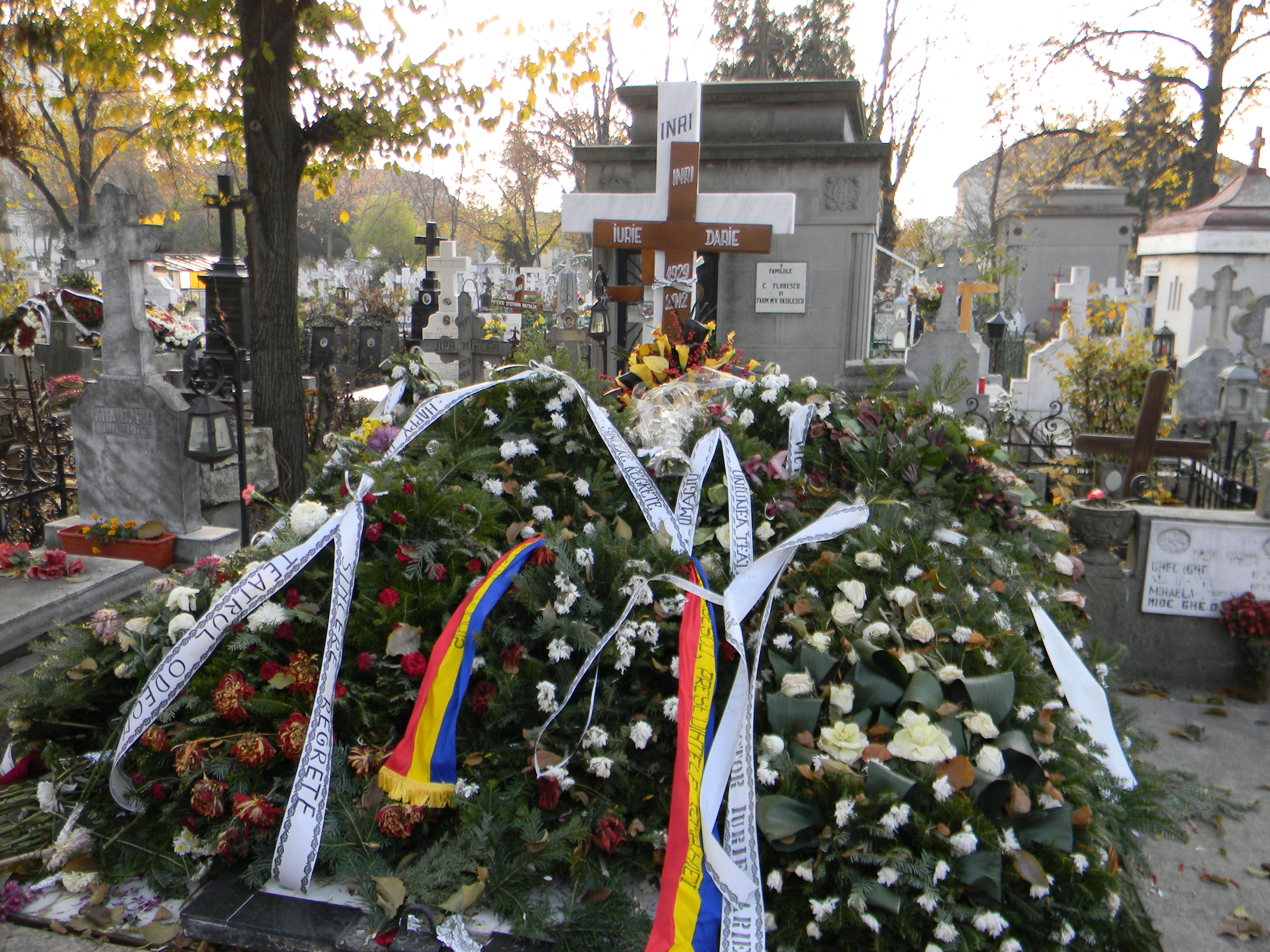 Iurie Darie a decedat pe data de 9 noiembrie, dupa o lunga perioada in care a fost in coma