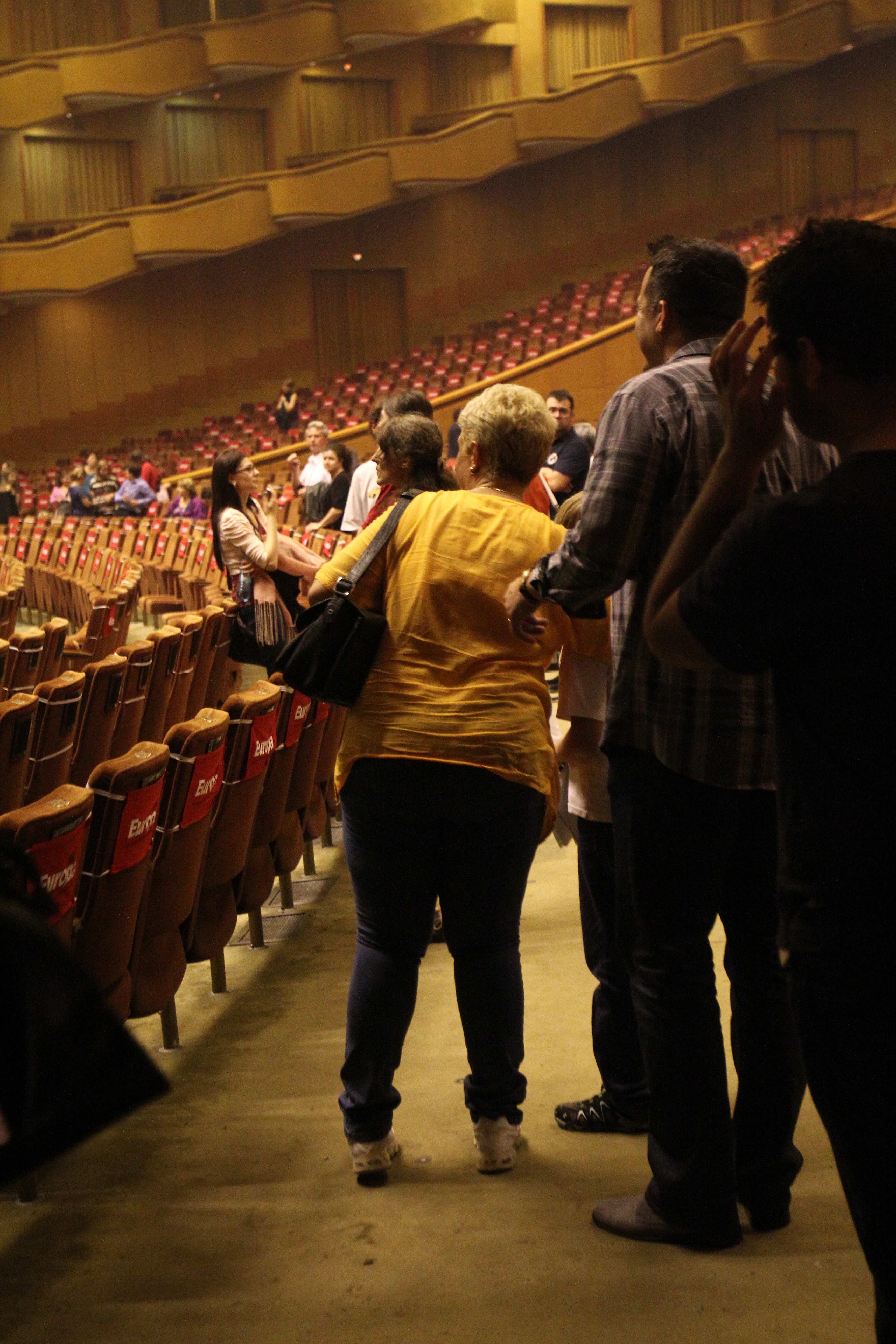 Csnd s-au ridicat de pe scaune, Teo si Constantin au mers unul langa celalalt, tinandu-se de mijloc, ca doi indragostiti