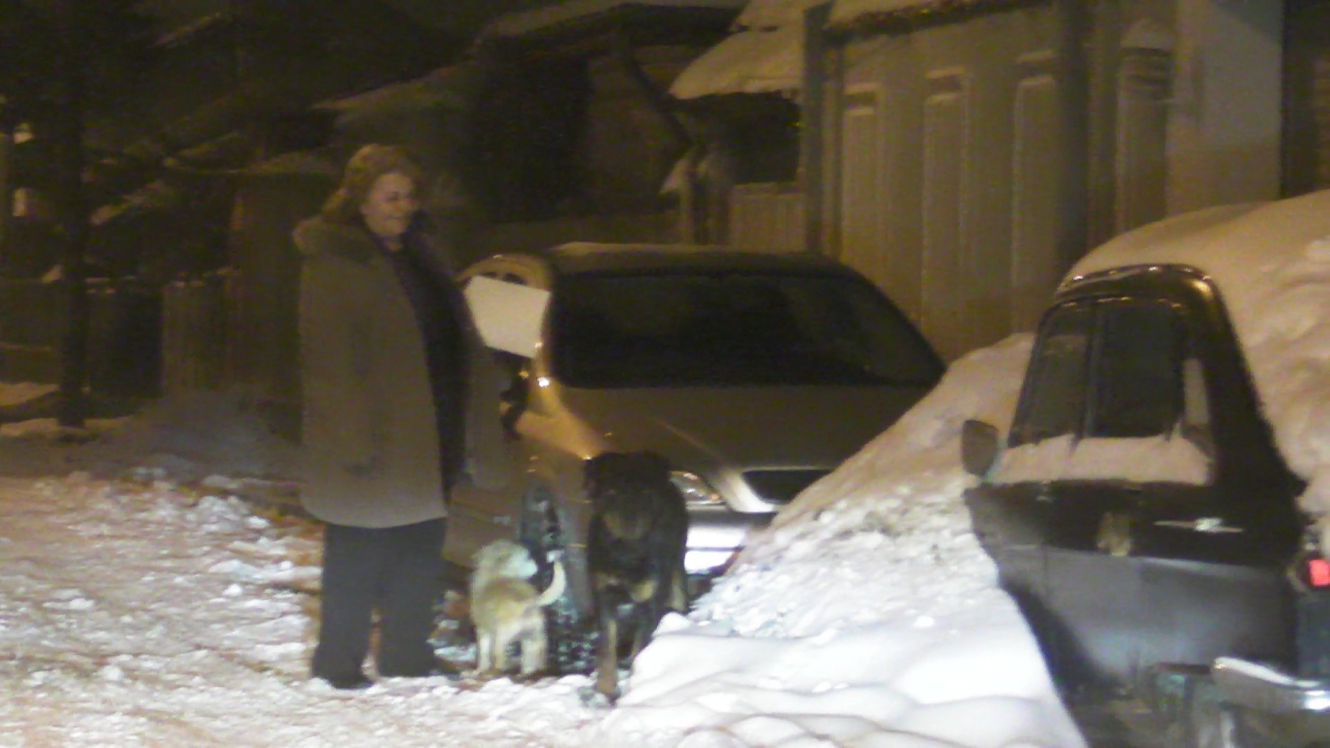 Mama lui Constantin profita de ocazia si isi scoate si cainii la plimbare