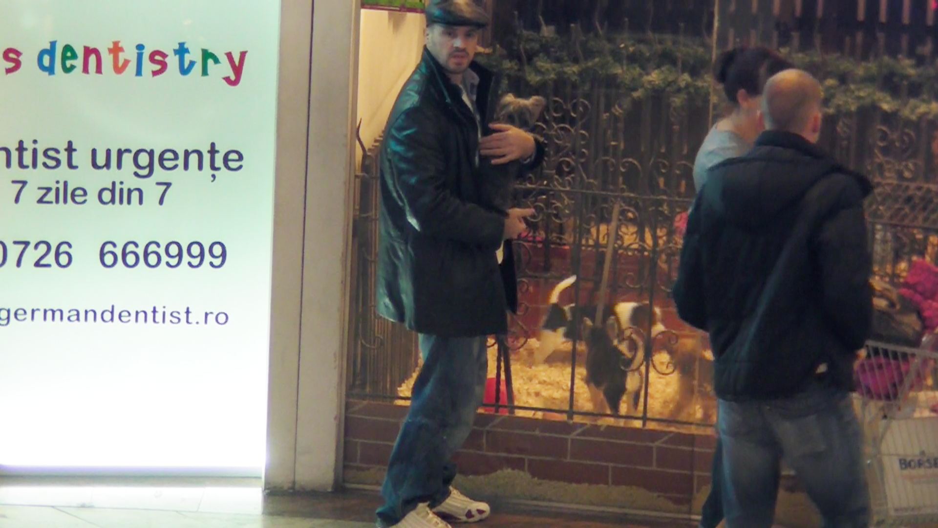 Pavel Stratan s-a cam plictisit si l-a dus pe catelus sa se uite in vitrina la pet-shop