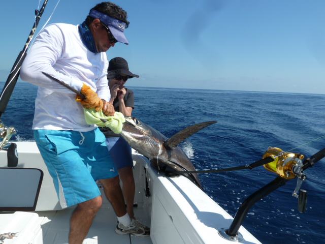 Din pacate, multi pesti au fost aruncati in apa