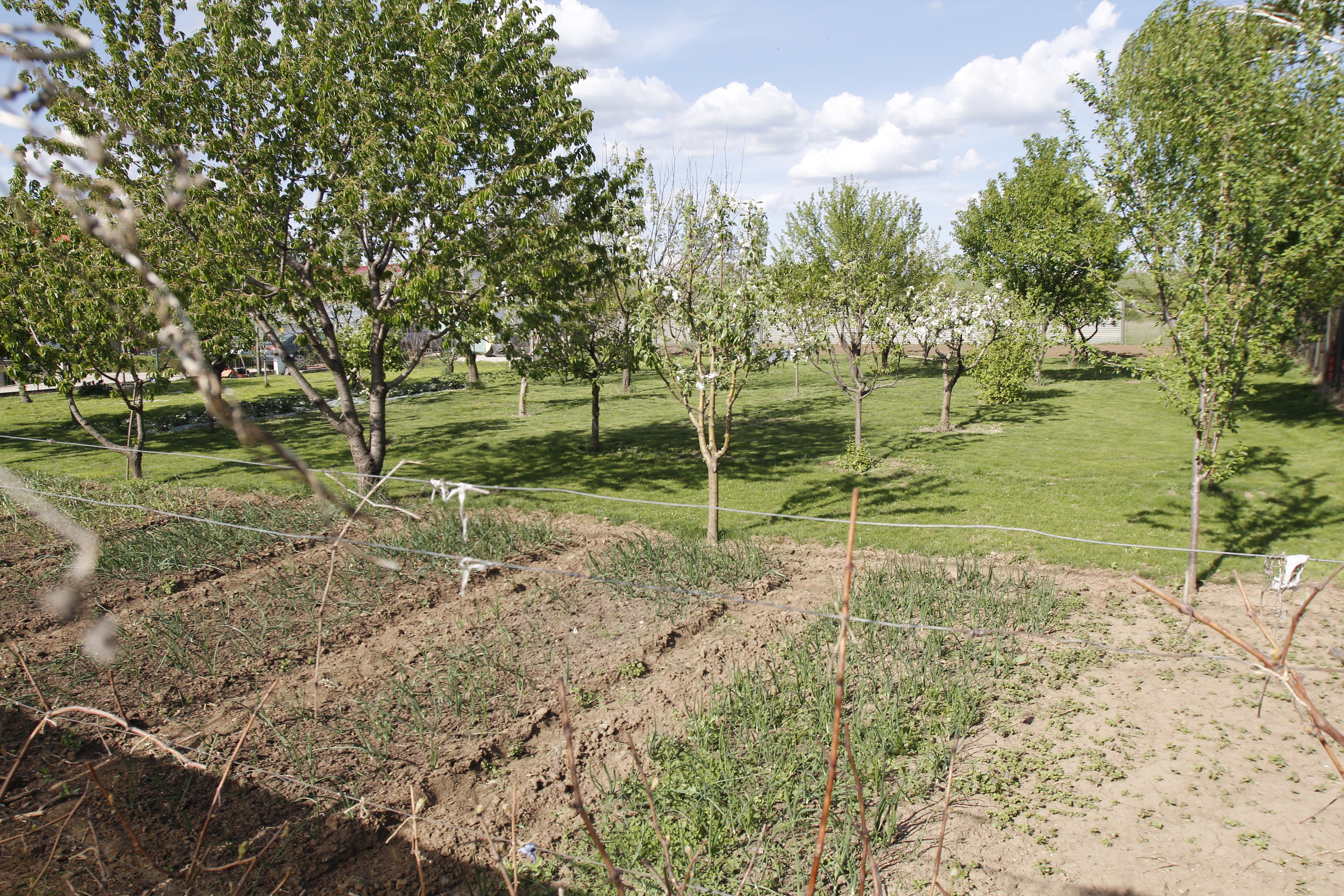 Florin Zamfirescu si Catalina Mastata au impartit cei peste 3000 de metrii patrati pe care ii detin la Mogosoaia