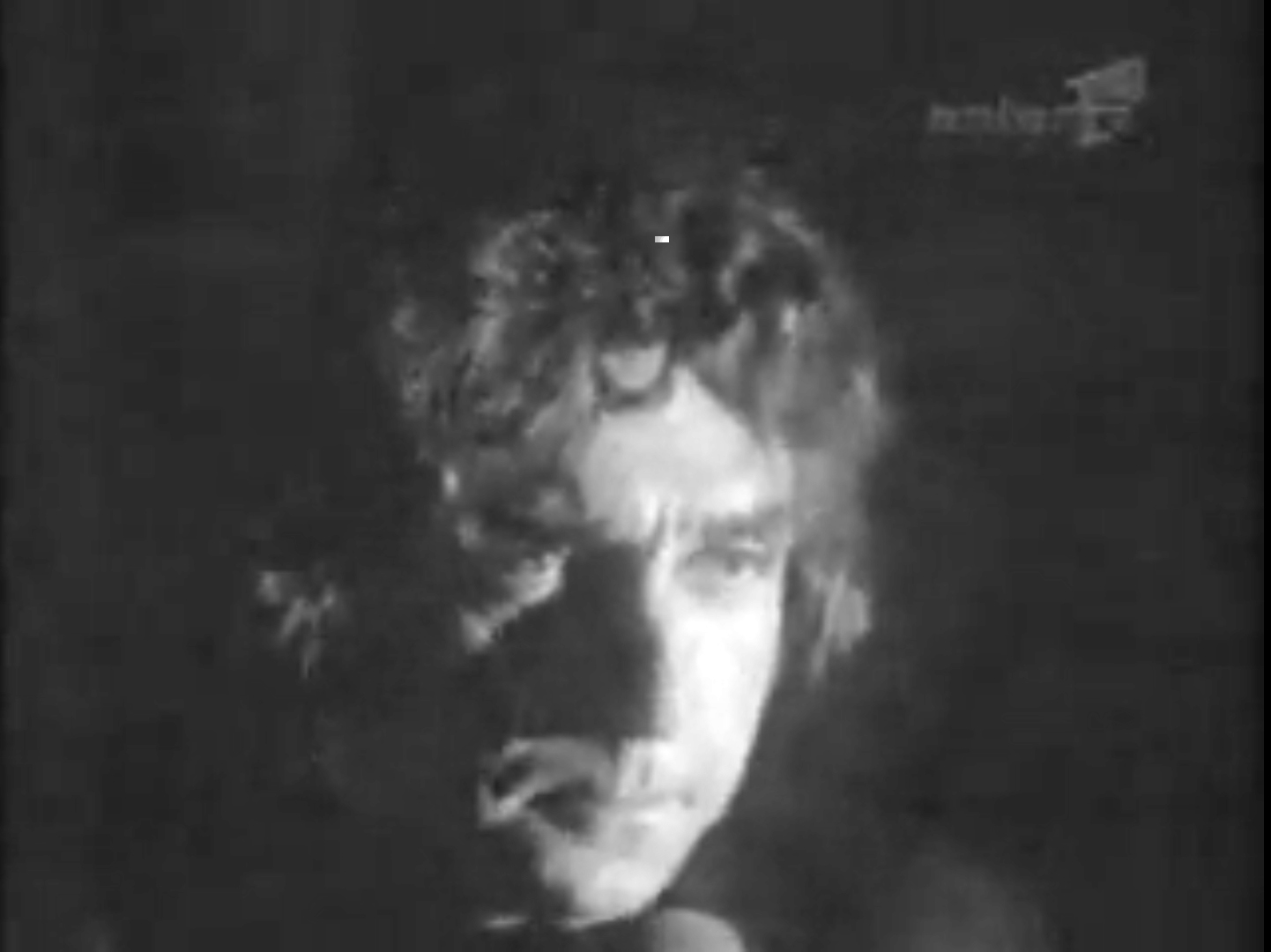 Si Adrian Paunescu avea faima de cuceritor in anii '70