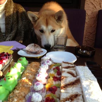 Ovidiu Komornyik a urcat pe pagina sa de FB cateva poze realizate, ieri, la aniversarea sa