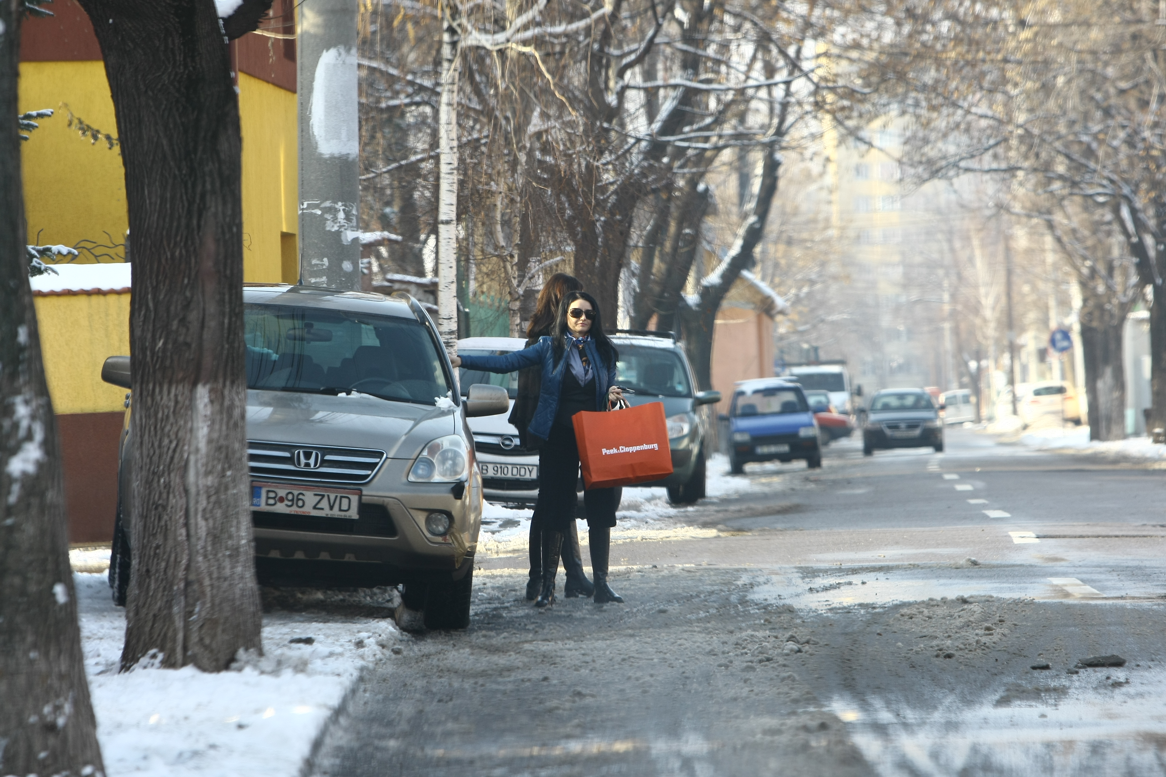 La petrecere a sosit si Silvia Chifiriuc, sotia lui Petre Roman