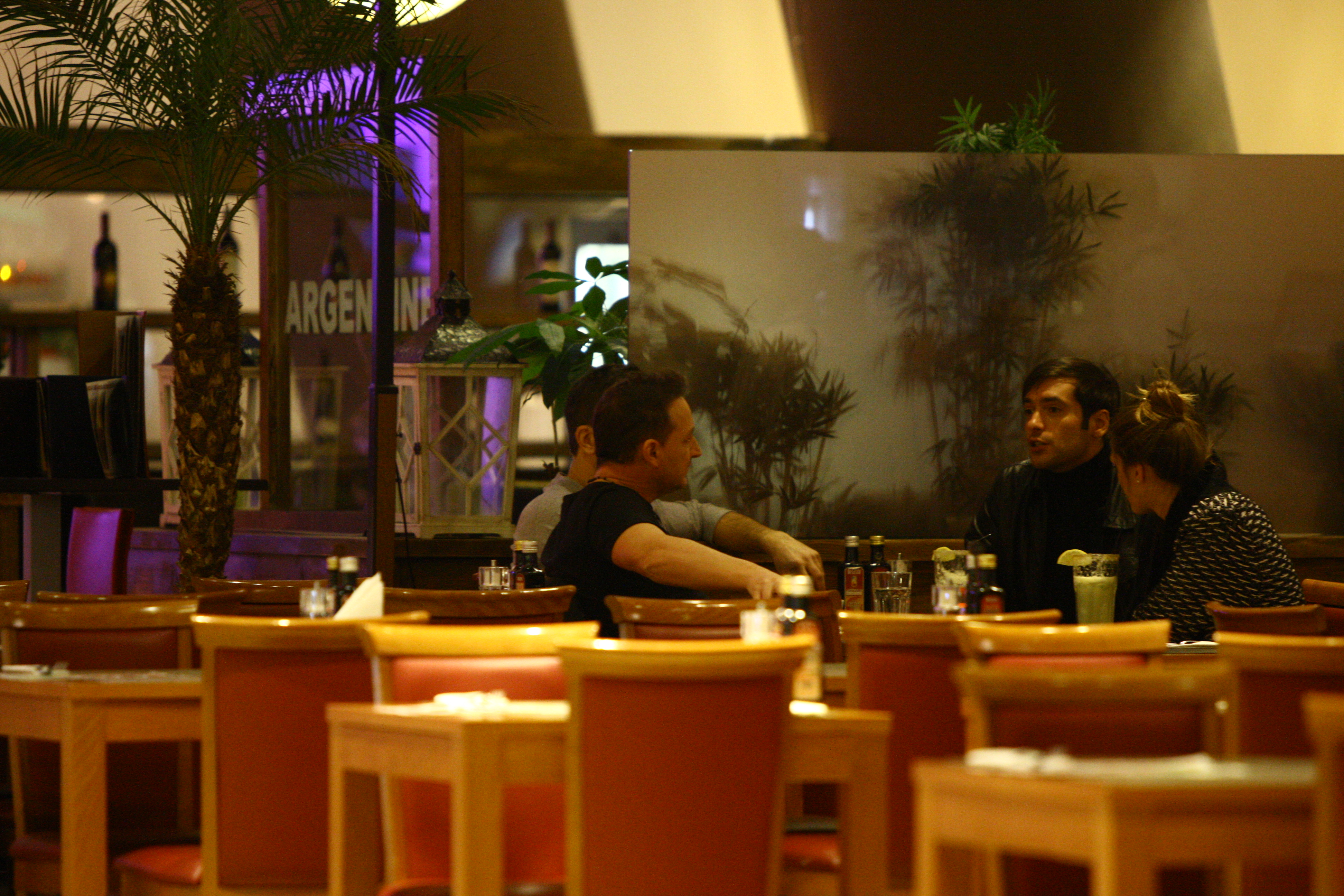 Valcan a participat activ la discutia Adelei cu colegii ei de trupa