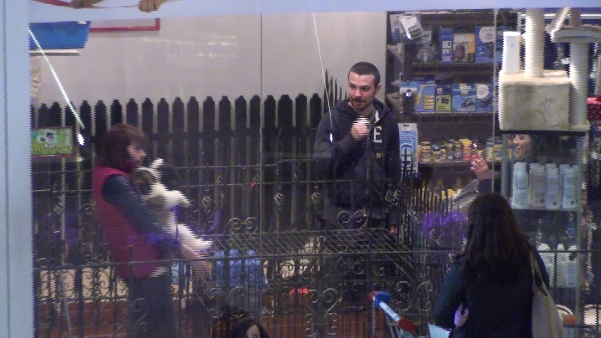 Vedeta fotograrfiaza catelusii cu telefonul mobil