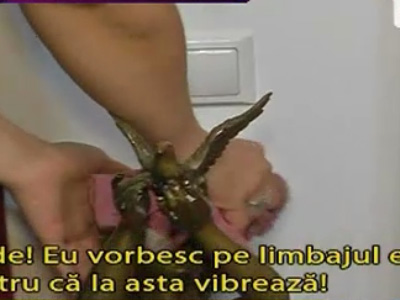 corneliu vadim tudor, ioana tufar