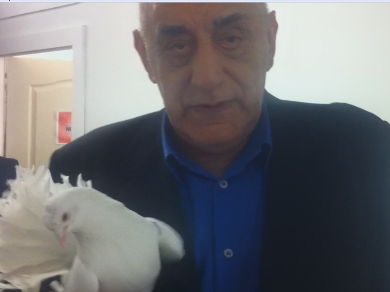 Video de senzaţie! Nici prin cap nu vă trece care este cea mai mare fobie a Oanei Lis!