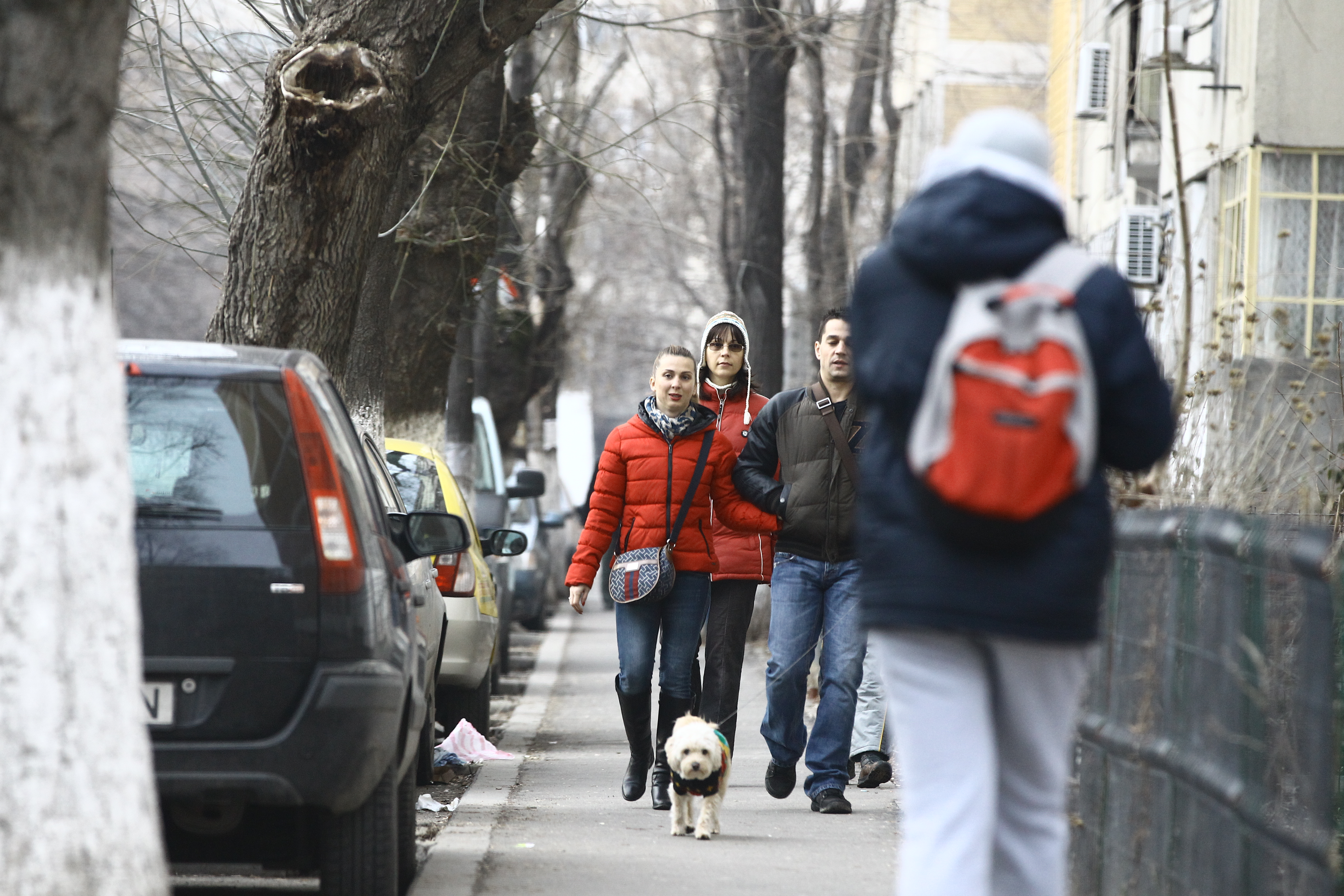 Iubitul sportivei are grija de cele doua