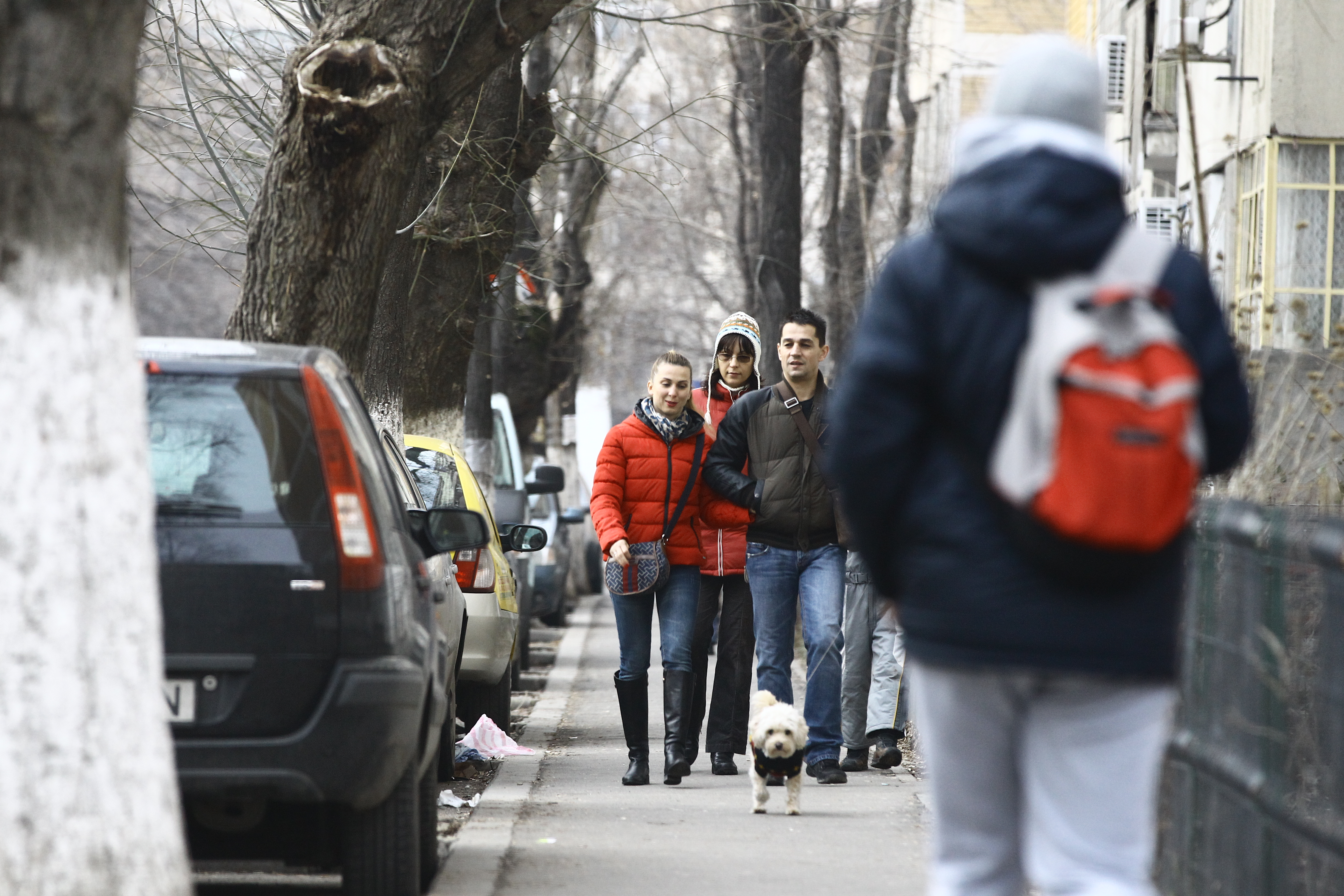 Cei doi profita de timpul frumos si au iesit sa se plimbe