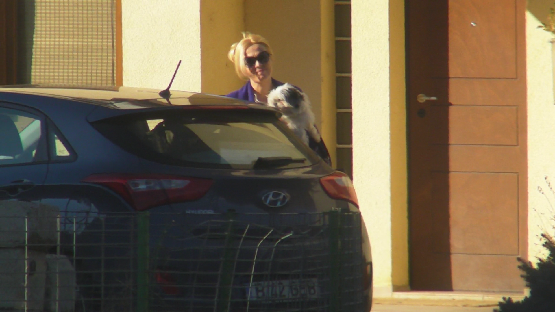 Dana Savuica a ajuns degraba acasa, curioasa probabil sa vada ce contin coletele