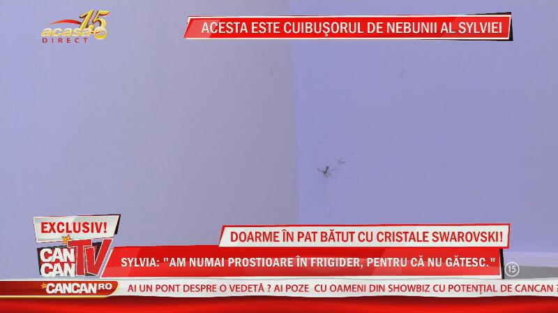 Imagini de senzaţie din noul apartament al Sylviei! Doarme în pat bătut cu cristale Swarovski, dar stă cu păianjenii morţi pe pere
