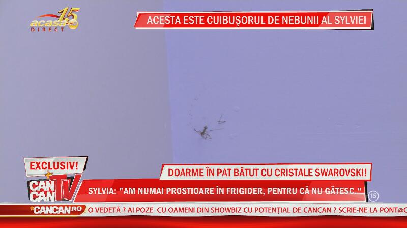 Imagini de senzaţie din noul apartament al Sylviei! Doarme în pat bătut cu cristale Swarovski, dar stă cu păianjenii morţi pe pere