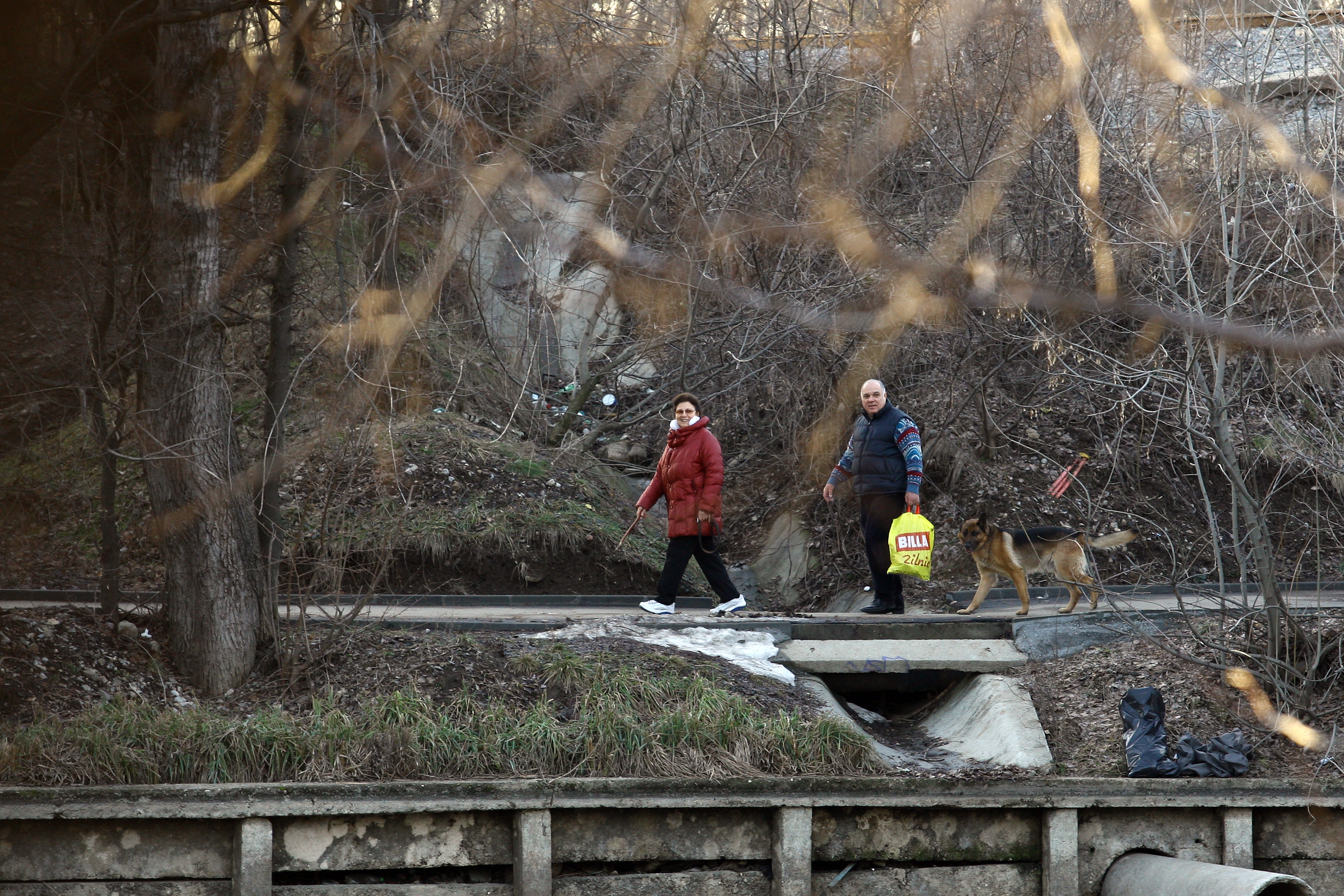 Irina Loghin si senatorul Marius Marinescu ies la plimbare de cateva ori pe saptamana, cu cainii, in Herastrau