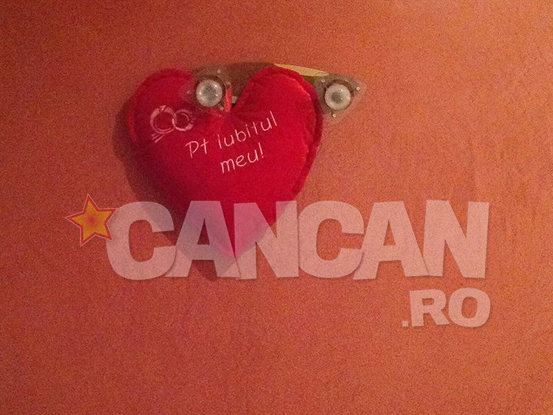 Mitea este devastat după despărţirea de Tonciu! A ajuns să ia antidepresive! Uite-l cum stă cu Puf, căţelul lor, în casa goală!