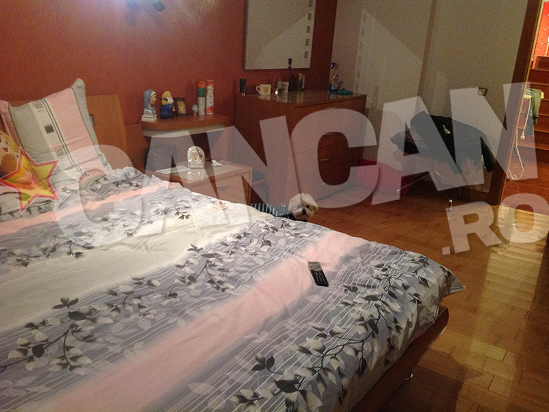 Mitea este devastat după despărţirea de Tonciu! A ajuns să ia antidepresive! Uite-l cum stă cu Puf, căţelul lor, în casa goală!