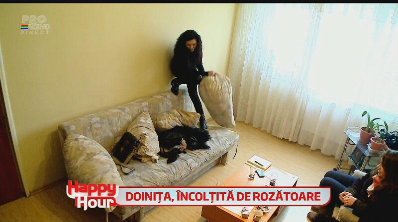 Doiniţa Oancea, isterie la maxim! Casa actriţei a fost plină de şoareci! Vezi cum bruneta a plâns şi s-a urcat pe calorifer!