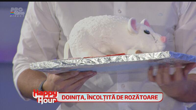 Doiniţa Oancea, isterie la maxim! Casa actriţei a fost plină de şoareci! Vezi cum bruneta a plâns şi s-a urcat pe calorifer!