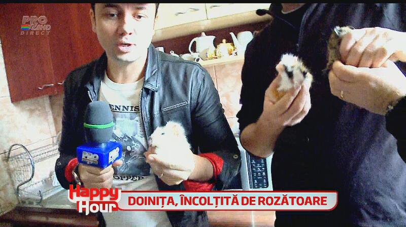 Doiniţa Oancea, isterie la maxim! Casa actriţei a fost plină de şoareci! Vezi cum bruneta a plâns şi s-a urcat pe calorifer!