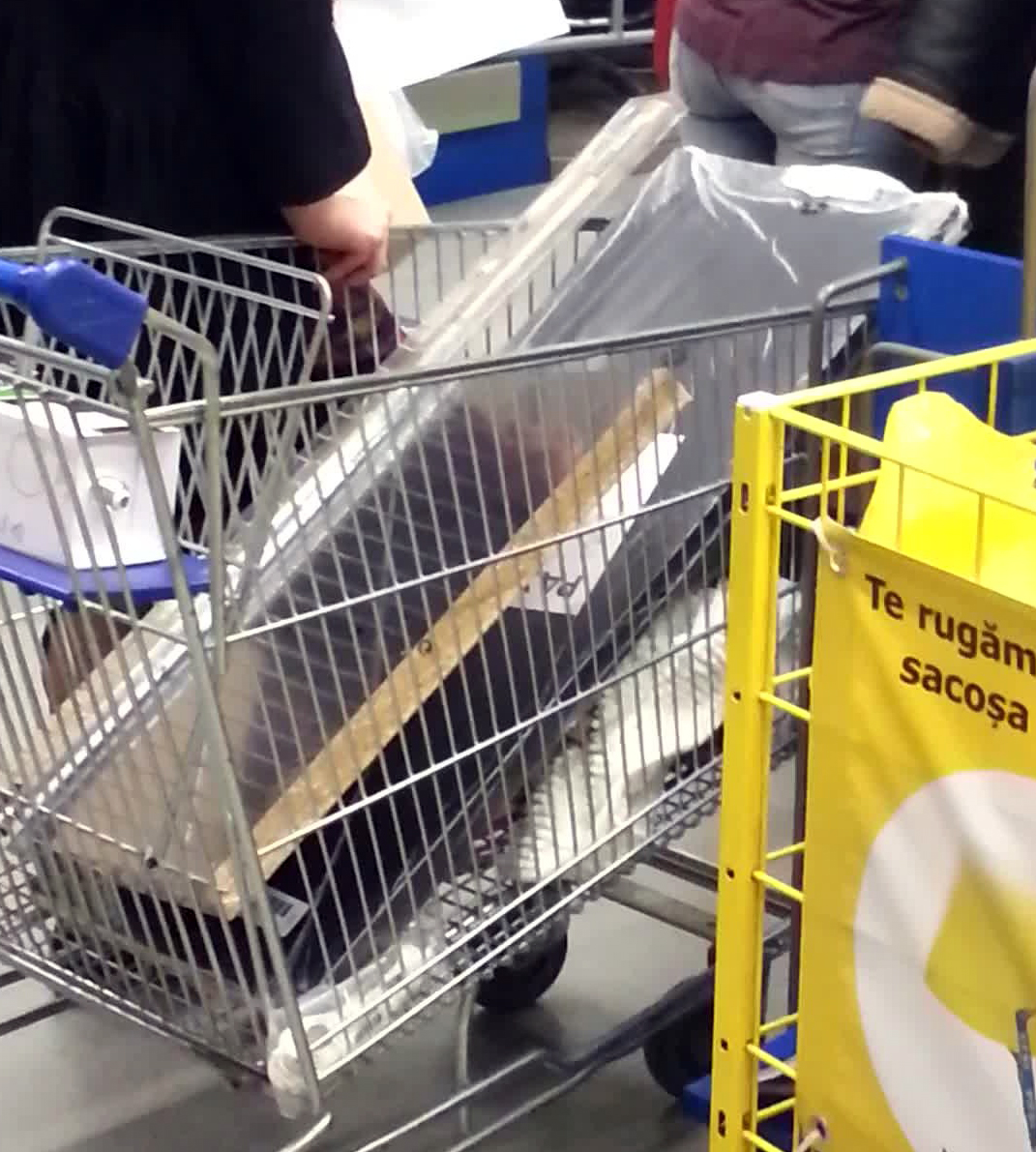 Cosul satenei este plin cu articole pentru casa