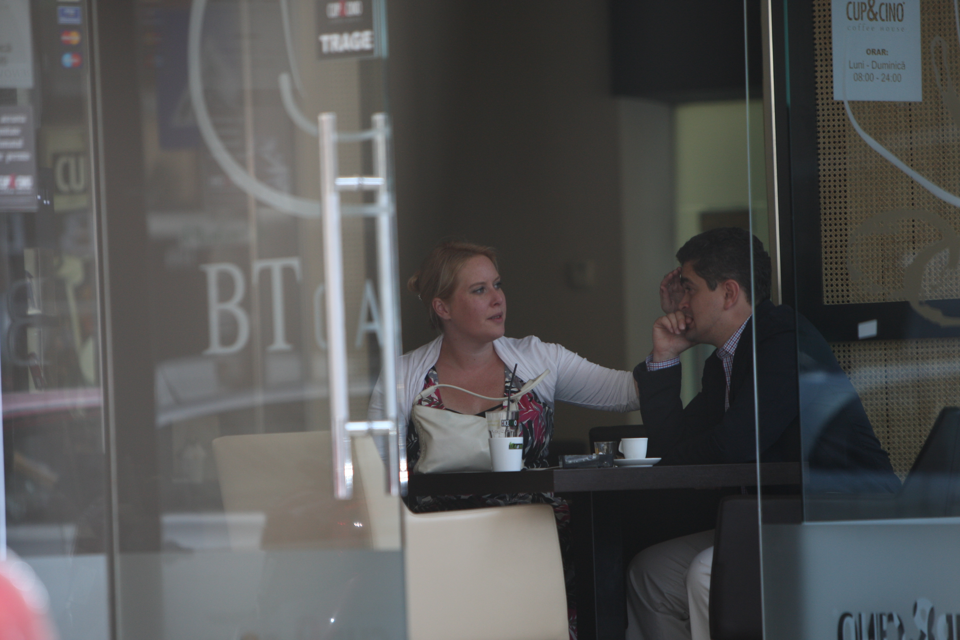 In 2010, cel care ii tinea companiei printesei atunci cand venea in Romania, era fostul ministru al Culturii, Theodor Stolojan