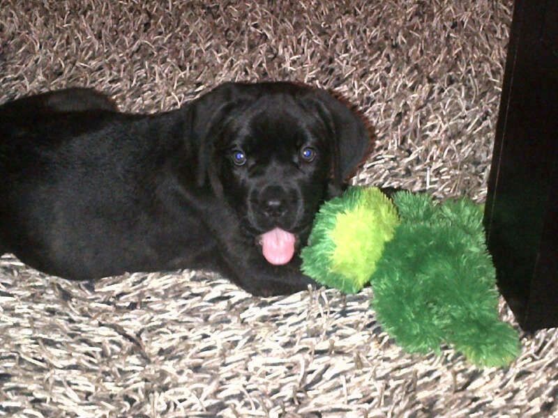 El este bebelusul de doua luni al Mihaelei Borcea